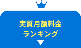 実質月額料金ランキング
